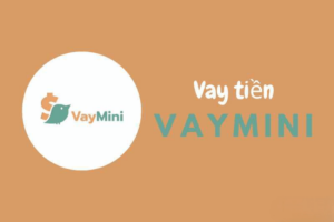 VAYMINI