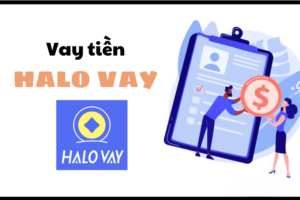 vay tiền halo vay